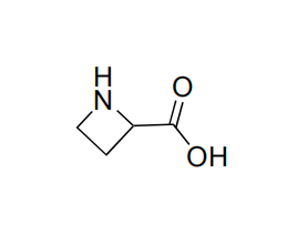 Ácido DL-azetidina-2-carboxílico