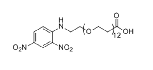 DNP-PEG12-ácido