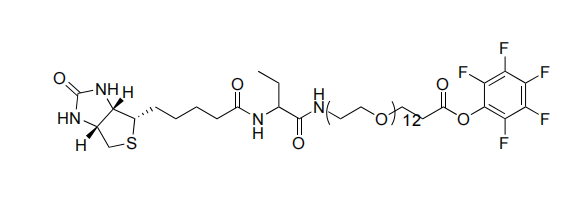 Biotina resistente a TFP-PEG12-biotinidasa