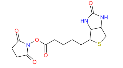5- {2-oxo-hexahidro-1H-tieno [3,4-d] imidazol-4-il} pentanoato de 2,5-dioxopirrolidin-1-ilo