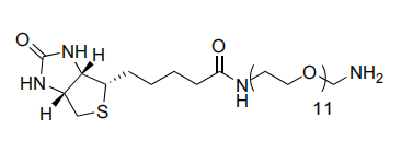 1H-tieno [3,4-d] imidazol-4-pentanamida, N- (35-amino-3,6,9,12,15,18,21,24,27,30,33-undecaoxapentatriacont-1-ilo ) hexahidro-2-oxo-