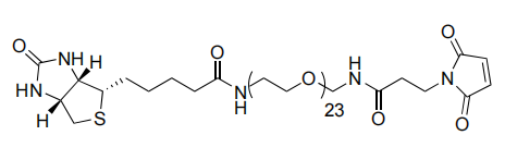 Biotina-PEG23-Mal