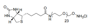 Biotina-dPEG-oxiamina.HCl